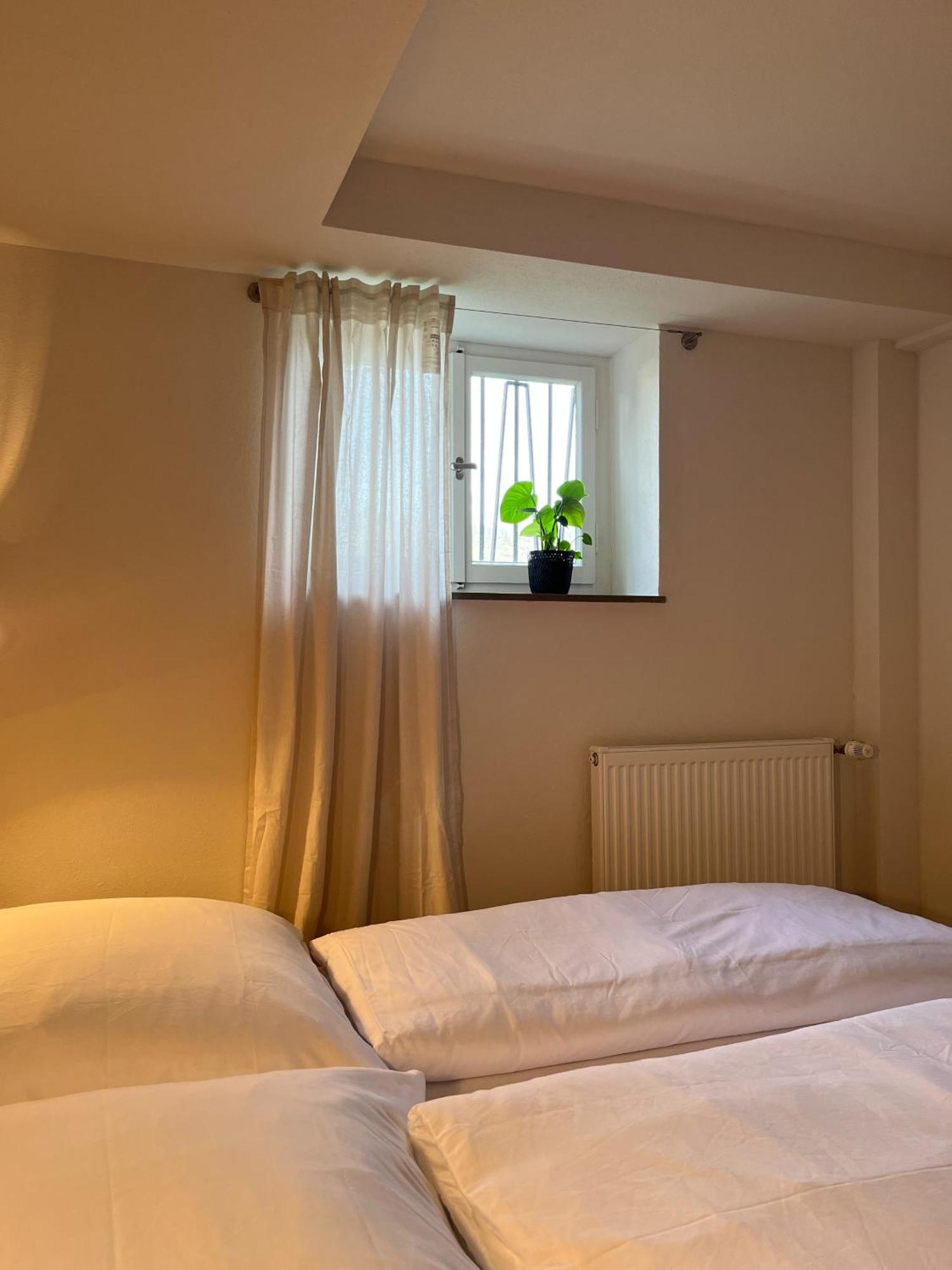 Kolberg Studio - Moderne Ferienwohnung In Boppard Exteriör bild